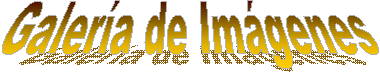 Galera de Imgenes